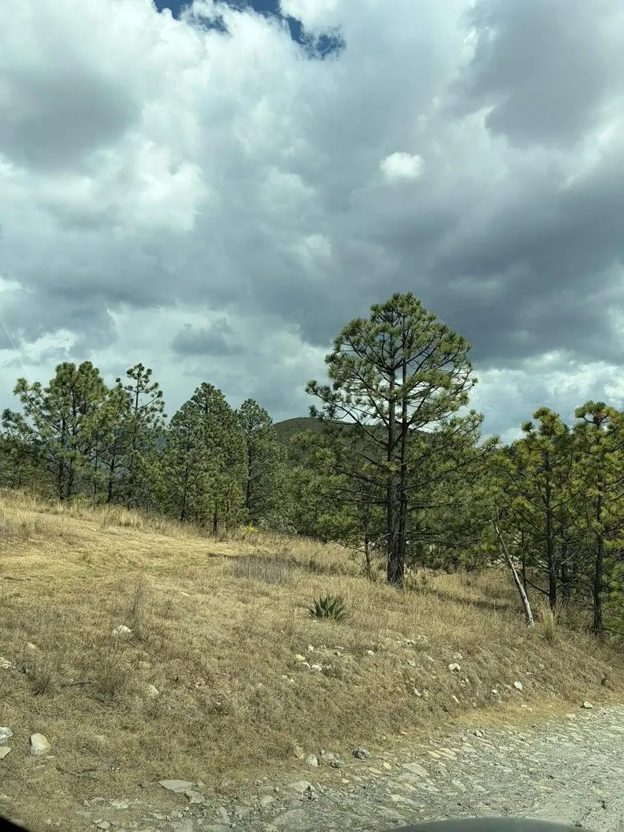 Terreno en Venta en Bosques de Monterreal — foto 1